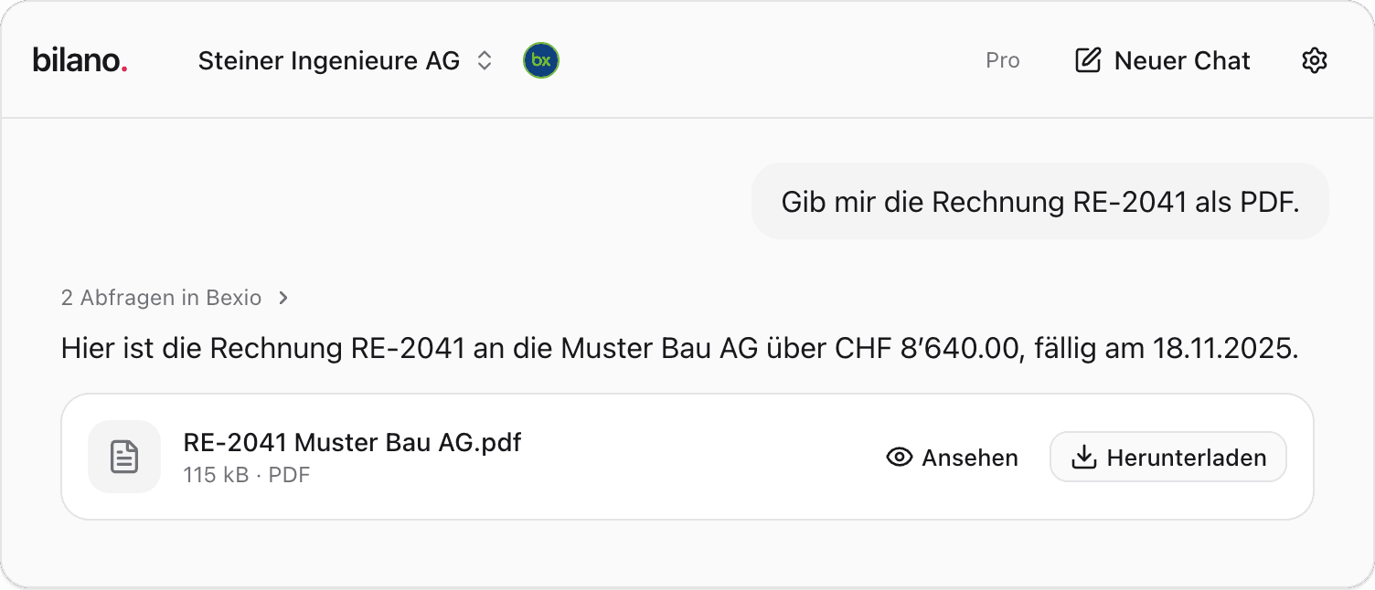 Rechnung RE-2041 als PDF zum Ansehen und Herunterladen